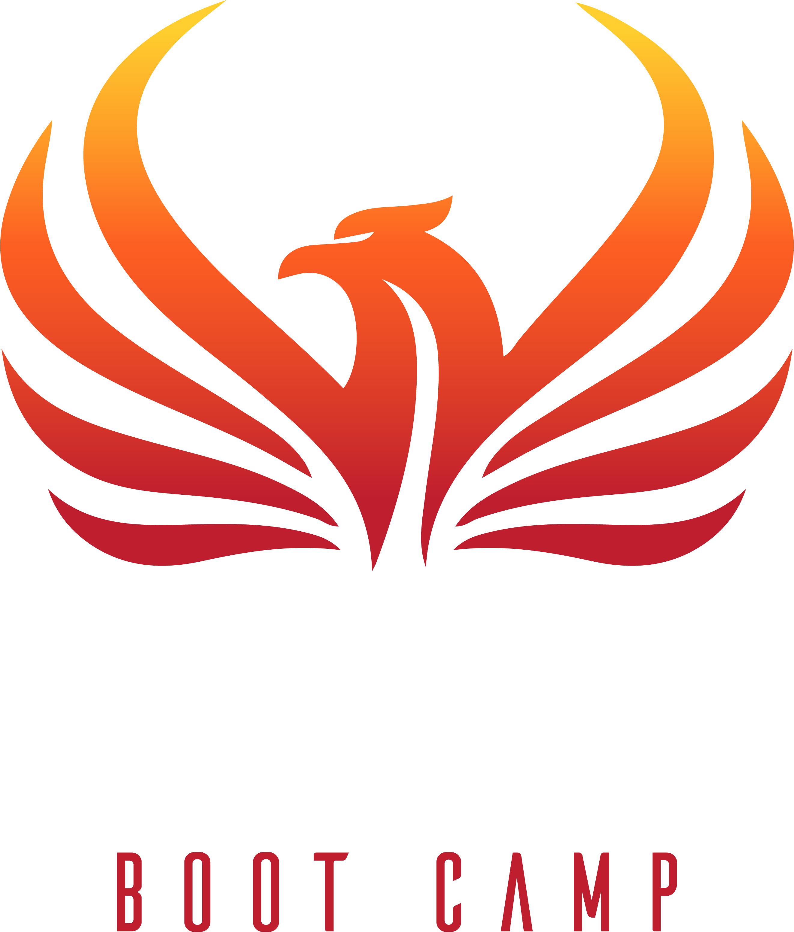 rise bootcamp